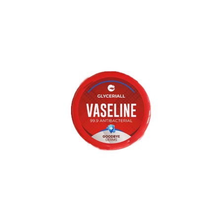 GLYCERIALL VASELINE HYPOALLERGENIQUE POT 100ML