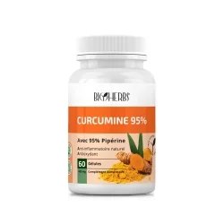 BIOHERBS - CURCUMINE 95% 60 GELULES