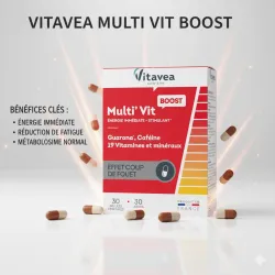 VITAVEA MULTI VIT BOOST 30 GELULES