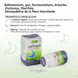 Therapia carbogas 30 gelules