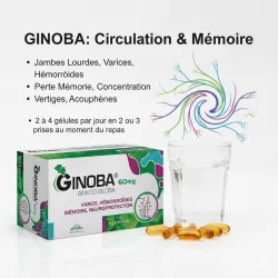 GINOBA 60mg 60 Gelules