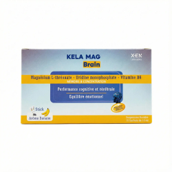 Kela Mag Brain Sachets Buvables BT/15