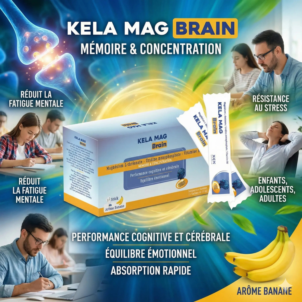 Kela Mag Brain Sachets Buvables BT/15