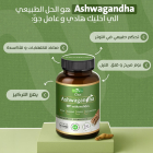 Therapia Ashwagandha 60 Gelules